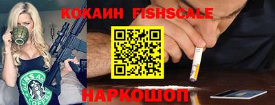 шишки Новодвинск
