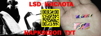 шишки Новодвинск