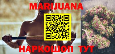шишки Новодвинск