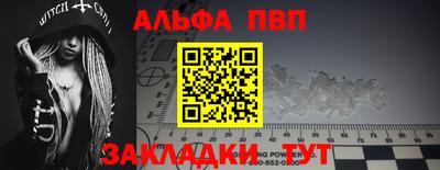 шишки Новодвинск