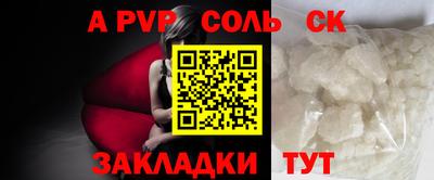 шишки Новодвинск