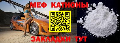 шишки Новодвинск