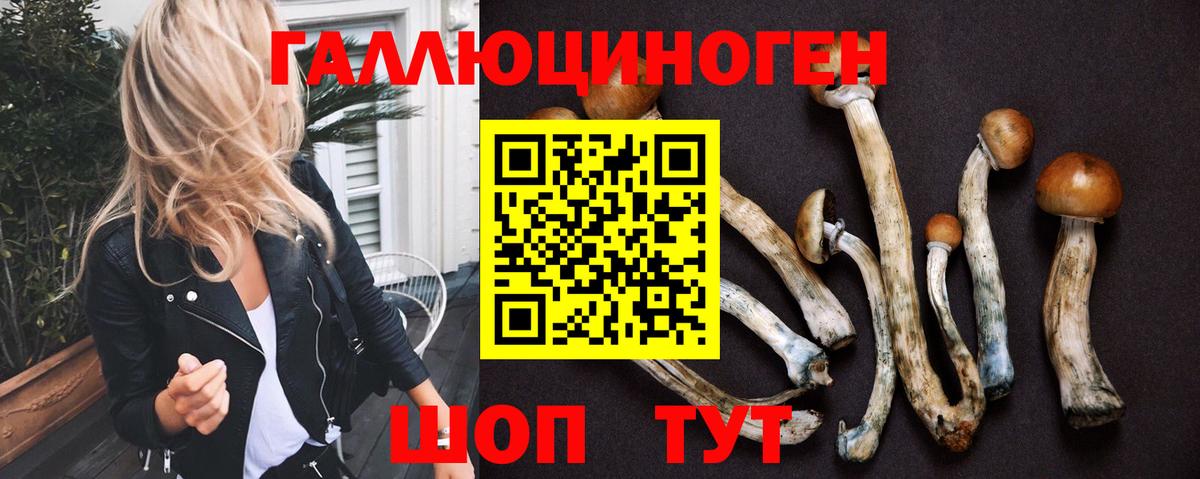 Псилоцибиновые грибы прущие грибы Сосновый Бор