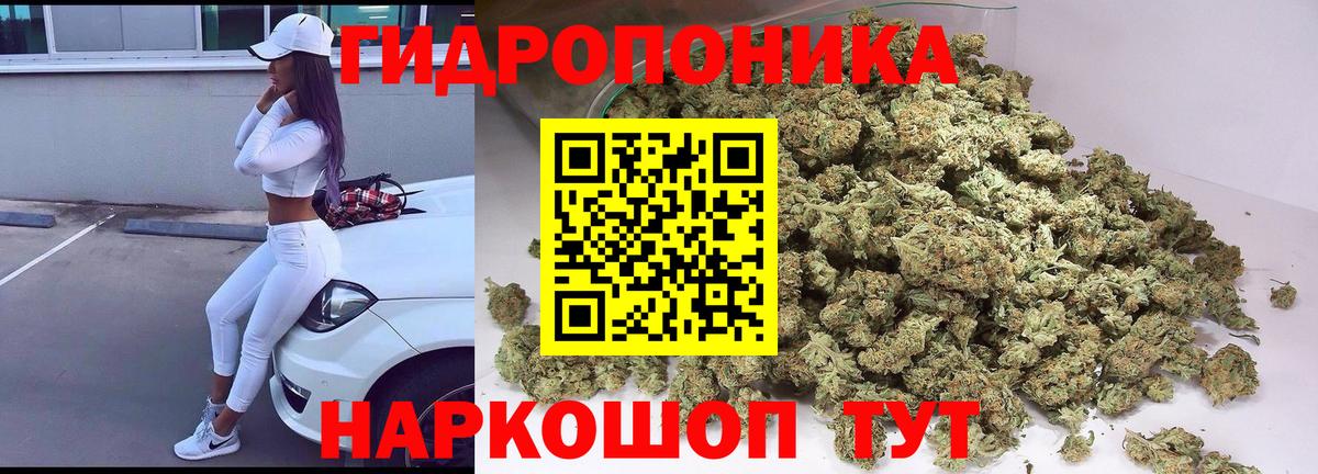 МАРИХУАНА семена Сосновый Бор